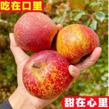 【大凉山丑苹果】正宗盐源苹果当季新鲜孕妇水果富士苹果批发包邮