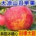 【大凉山丑苹果】正宗盐源苹果当季新鲜孕妇水果富士苹果批发包邮