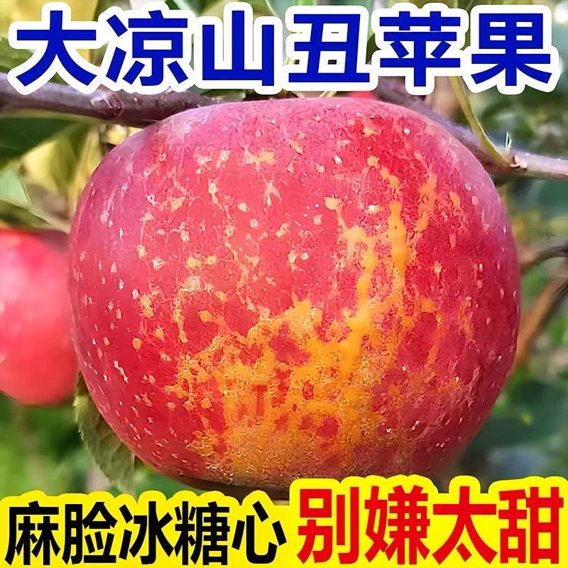 【大凉山丑苹果】正宗盐源苹果当季新鲜孕妇水果富士苹果批发