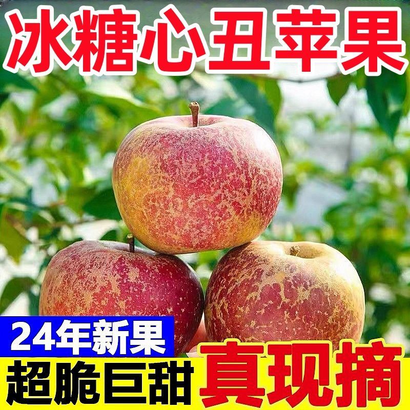 【大凉山丑苹果】正宗盐源苹果当季新鲜孕妇水果富士苹果批发