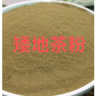 克中药材矮地茶粉/平地木粉不出林叶底珠叶下红粉紫金牛中