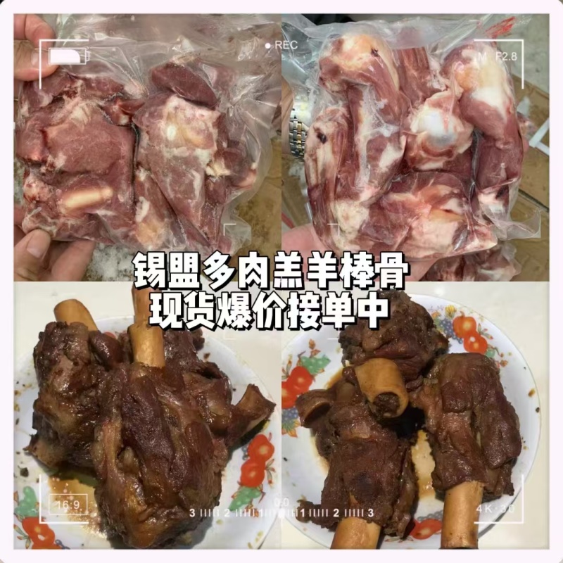 锡盟多肉羊棒骨