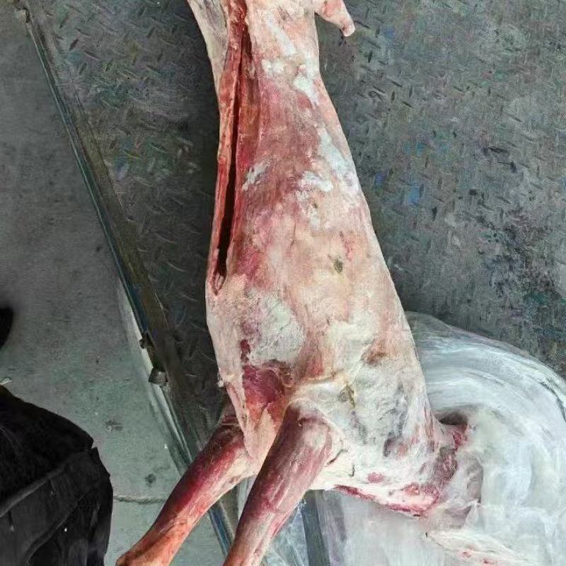 羊胴体