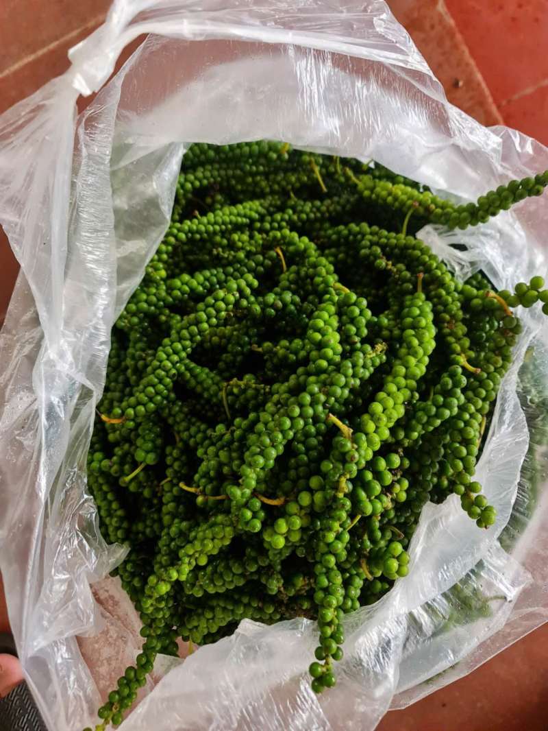 青胡椒，胡椒