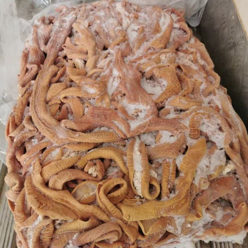 牛小肠