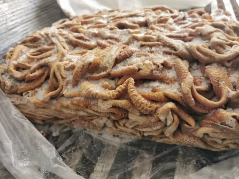 牛小肠