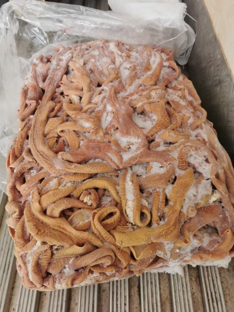 牛小肠