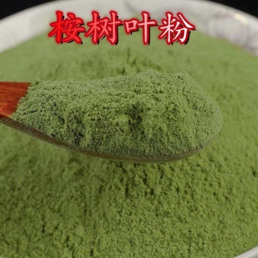 桉树叶桉树叶粉桉叶蓝桉叶羊草果叶中药材