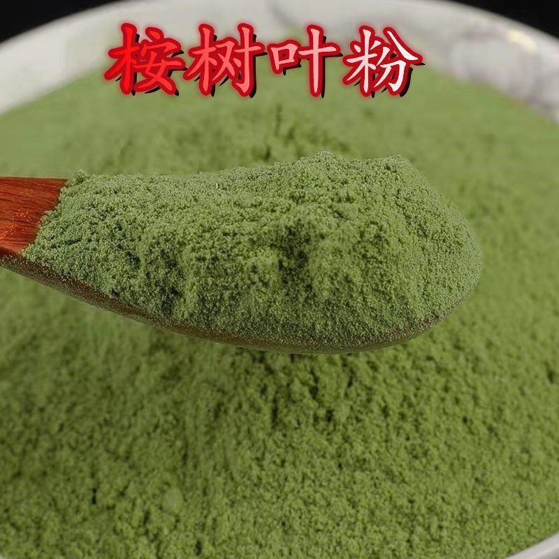 桉树叶桉树叶粉桉叶蓝桉叶羊草果叶中药材