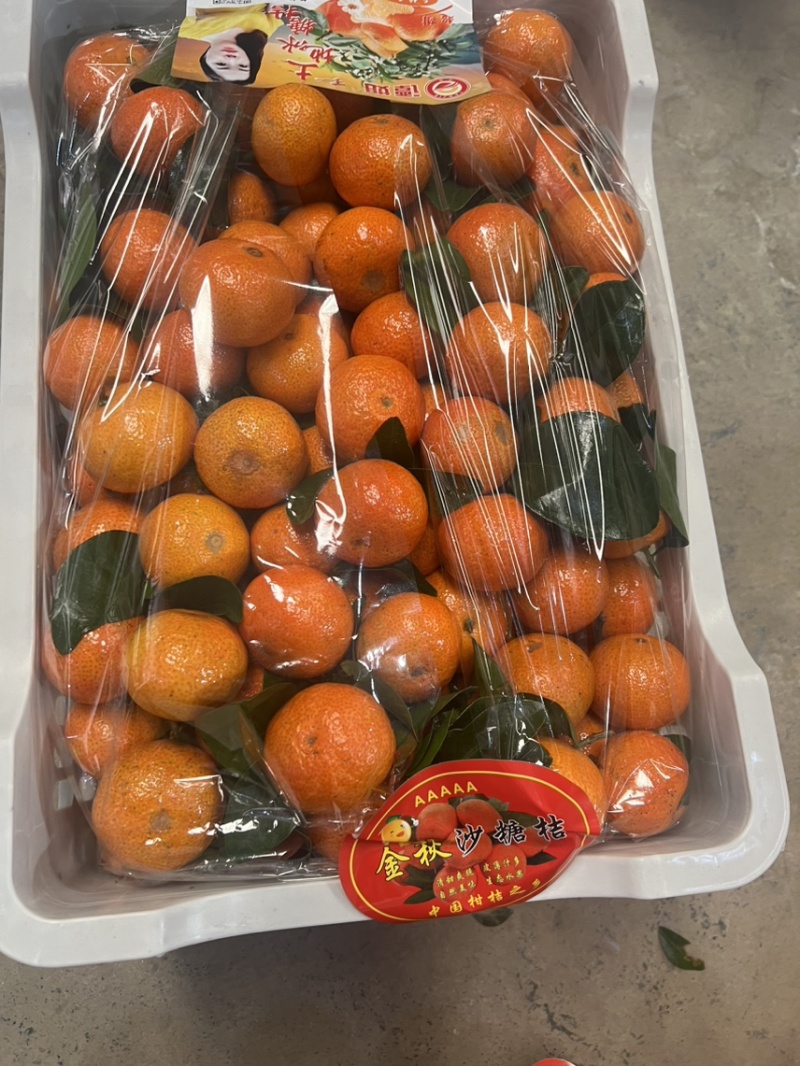 【精品金秋沙糖桔】产地直供大量供应价格实惠