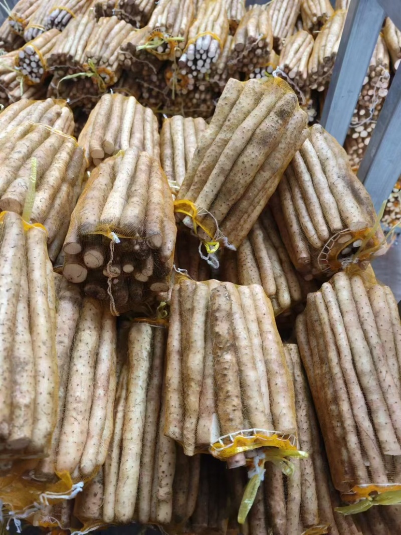 安平新鲜小白嘴山药产地直发800平加工厂自产自销