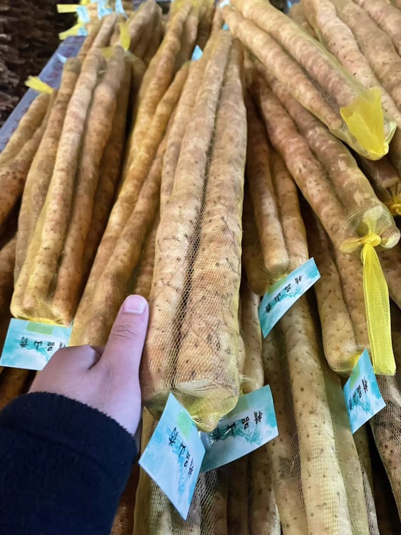 安平新鲜小白嘴山药产地直发800平加工厂自产自销