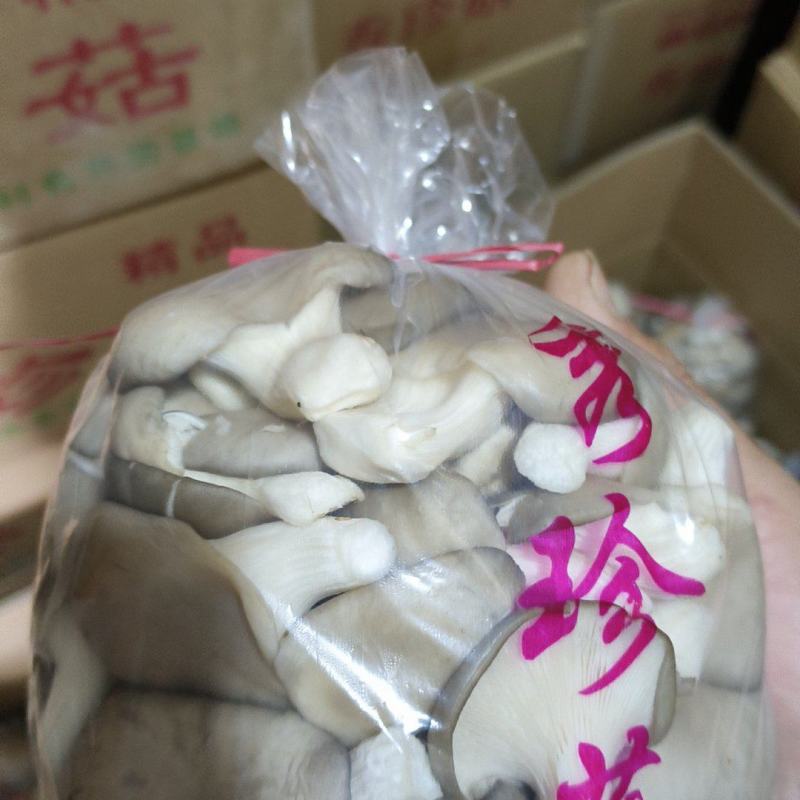 精品食用菌秀珍菇/量大从优/可视频看货/欢迎下单