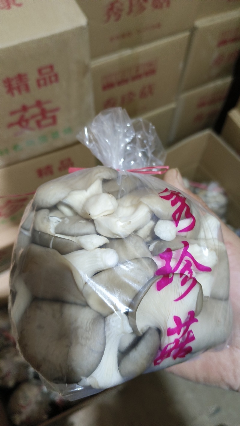 精品食用菌秀珍菇/量大从优/可视频看货/欢迎下单