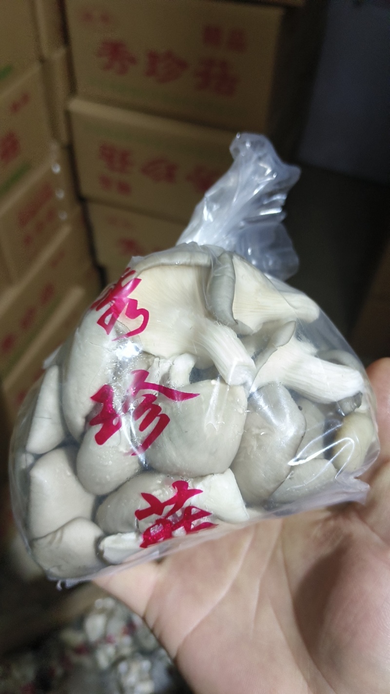 精品食用菌秀珍菇/量大从优/可视频看货/欢迎下单