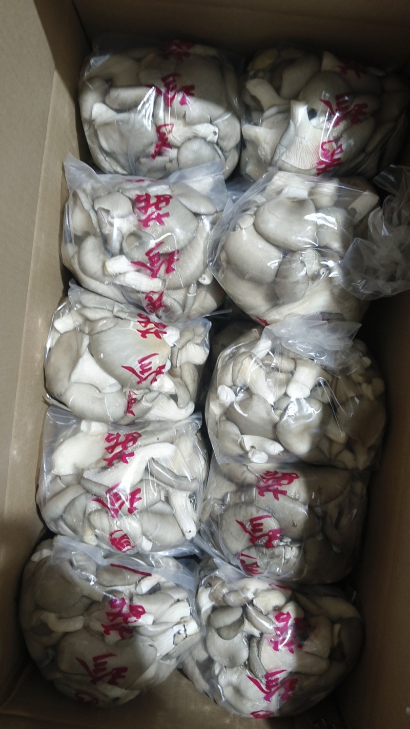 精品食用菌秀珍菇/量大从优/可视频看货/欢迎下单