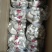 精品食用菌秀珍菇/量大从优/可视频看货/欢迎下单