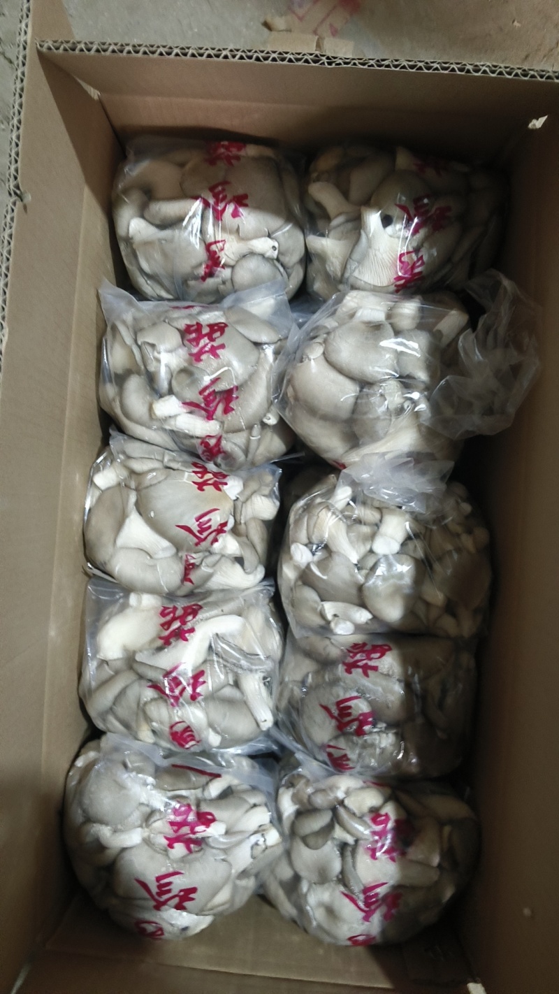 精品食用菌秀珍菇/量大从优/可视频看货/欢迎下单