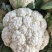 唐山精品有机菜花松花菜散花产地现采现发品质保障货源充足