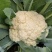 唐山精品有机菜花松花菜散花产地现采现发品质保障货源充足