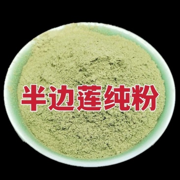 中药材半边莲粉野生半边莲粉半边连粉半边花粉