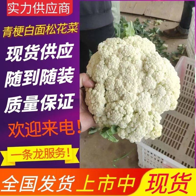 唐山精品有机菜花松花菜散花产地现采现发品质保障货源充足
