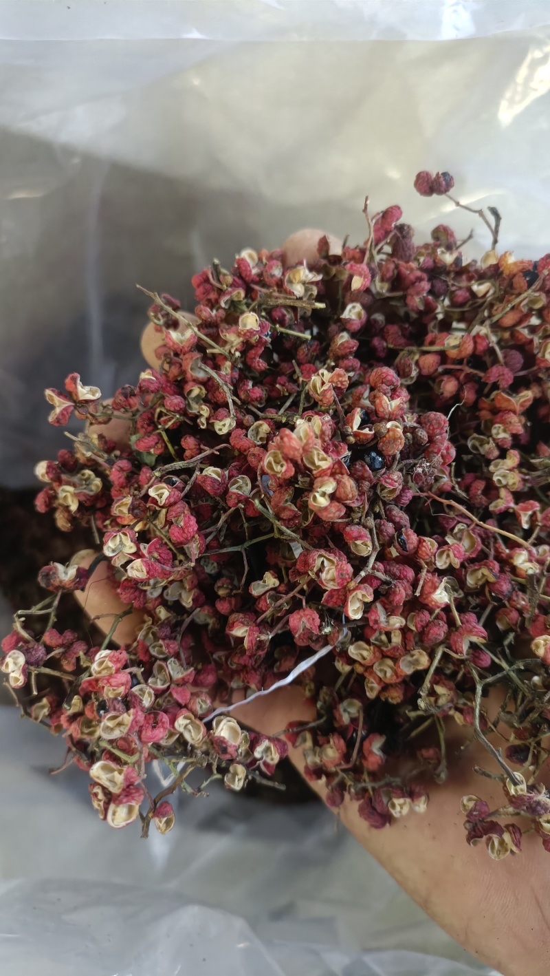 陕西富平花椒，精品大红袍花椒，当季新货，品质保障欢迎订购