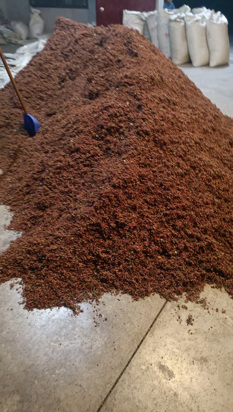陕西富平花椒，精品大红袍花椒，当季新货，品质保障欢迎订购