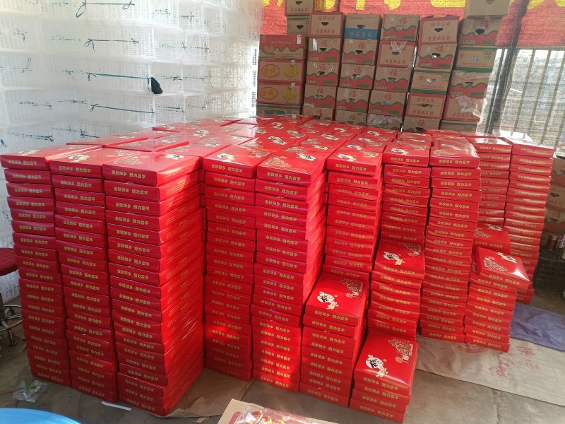 陕西富平柿饼，精品柿饼新鲜上市一件代发品质保障