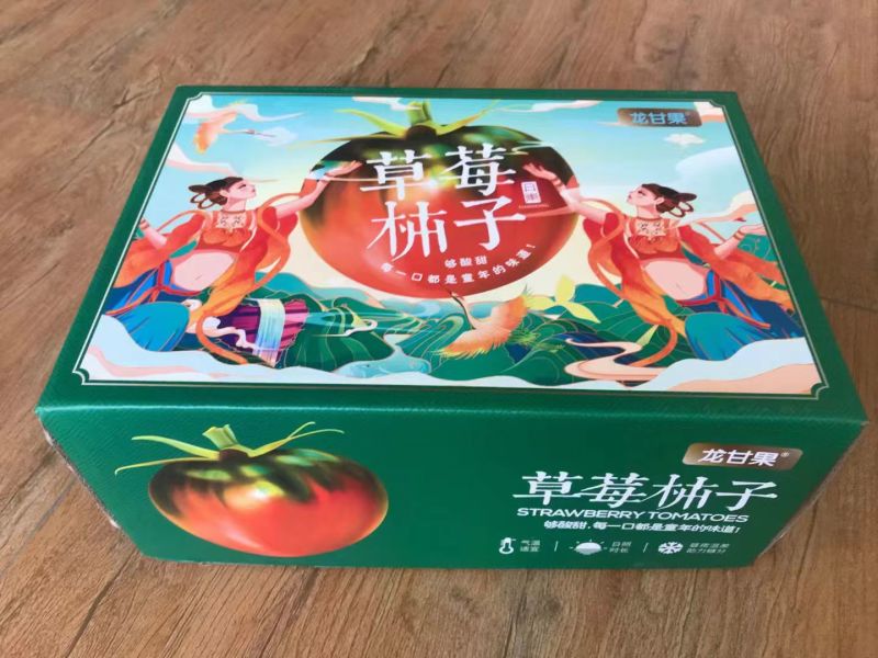 碱地西红柿柿子铁皮柿子碱大量上市口感香甜保质保量欢迎选购