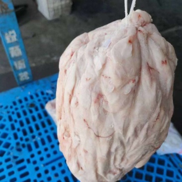 吊挂鲜板油新日期折叠板油箱装袋装