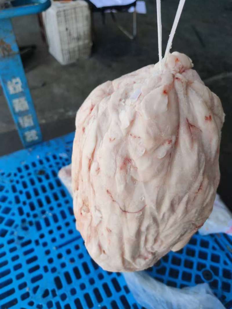 吊挂鲜板油新日期折叠板油箱装袋装