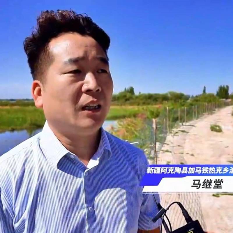【新春补帖】高抗小龙虾幼苗养殖鲜活小龙虾活的稻田养殖批发