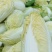 娃娃菜自产自销现货一手货源有需要的老板欢迎联系
