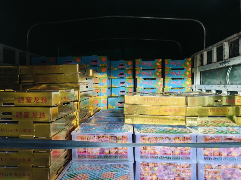 广西融安-脆蜜金桔（糖果装）23度甜多汁无籽精品礼盒装