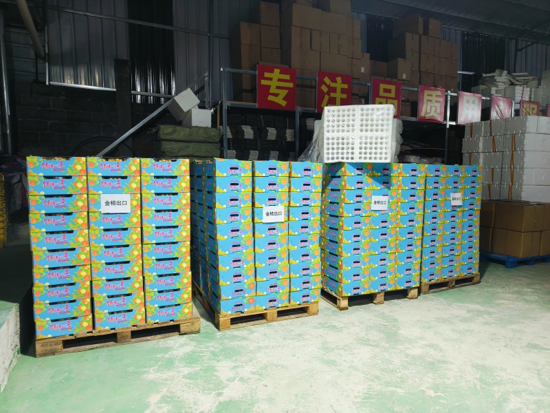 广西融安-脆蜜金桔（糖果装）23度甜多汁无籽精品礼盒装