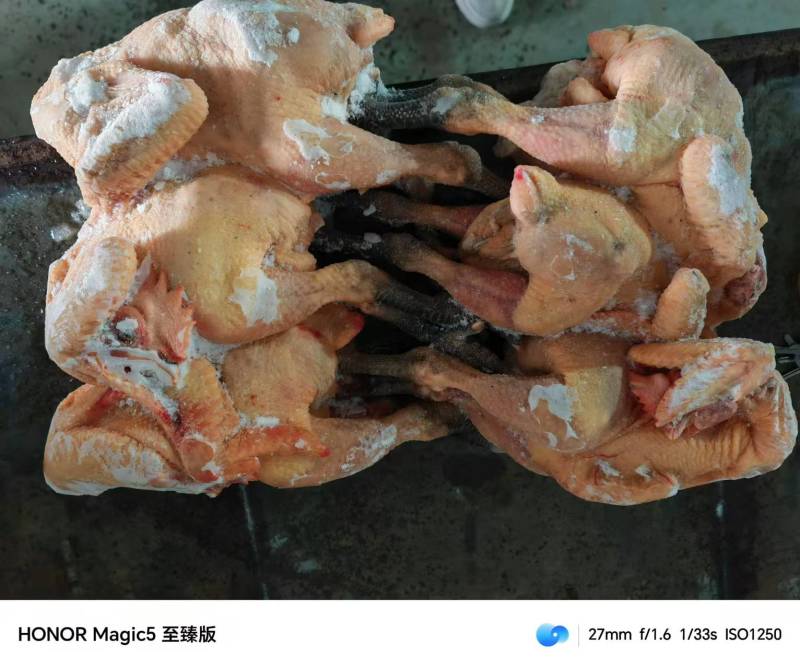 工厂直发二级大冠公鸡