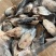 鲅鱼块鲅鱼片马鲛鱼片食堂专用食材燕鲅鱼块燕鲅鱼片商用食材