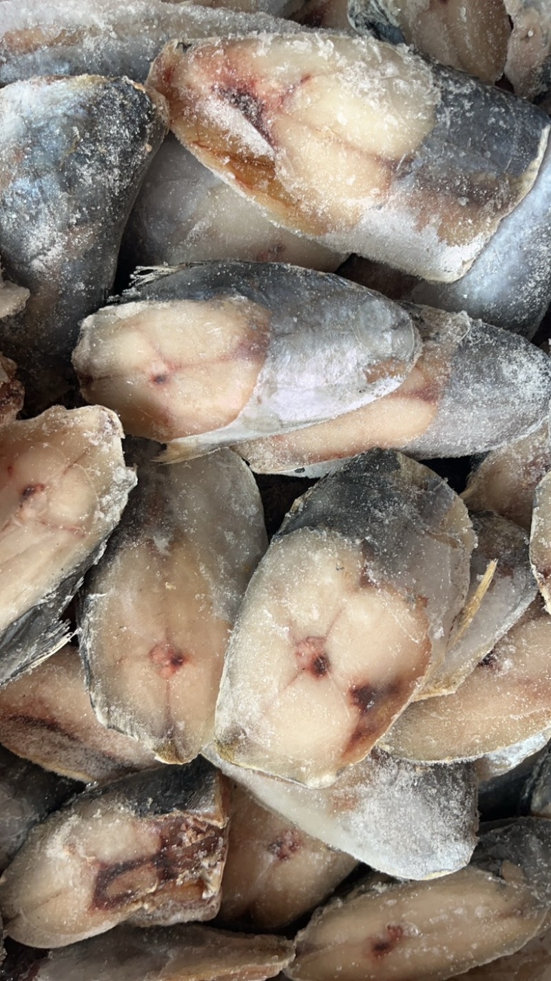鲅鱼块鲅鱼片马鲛鱼片食堂专用食材燕鲅鱼块燕鲅鱼片商用食材