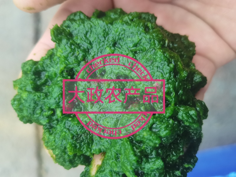 商用韭菜花酱，量大，可长年供现做现发，山东发货，颜色好看
