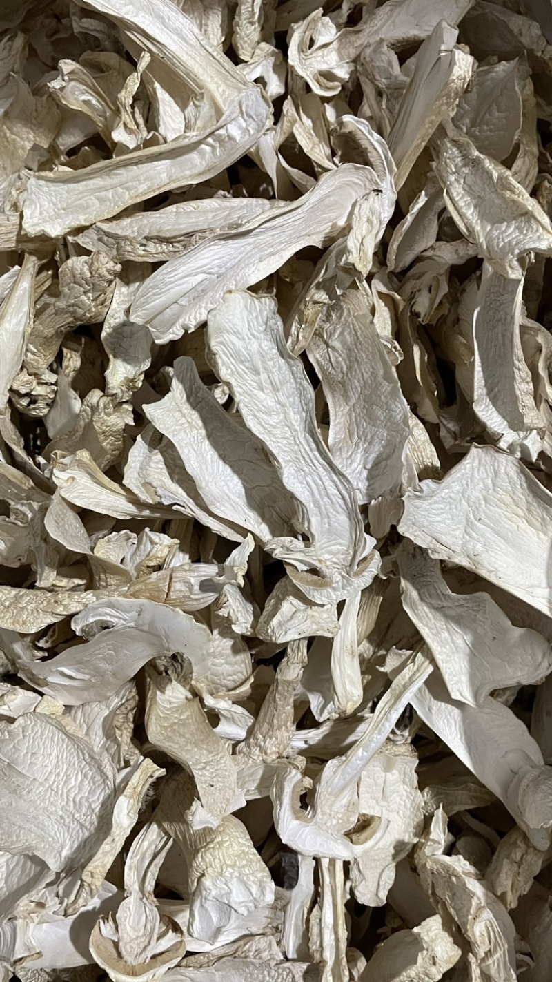 干片赤松茸干货大球盖菇干片干品