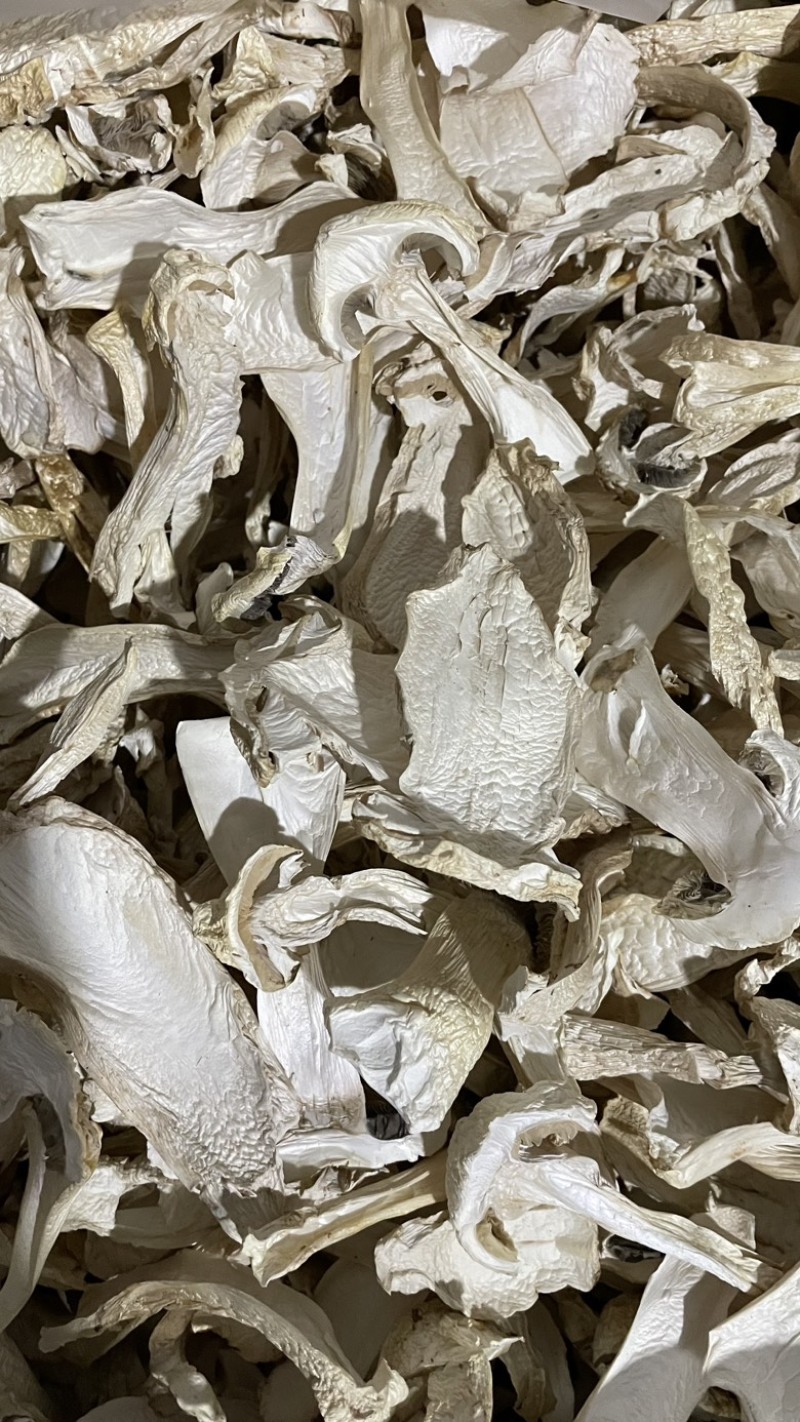 干片赤松茸干货大球盖菇干片干品