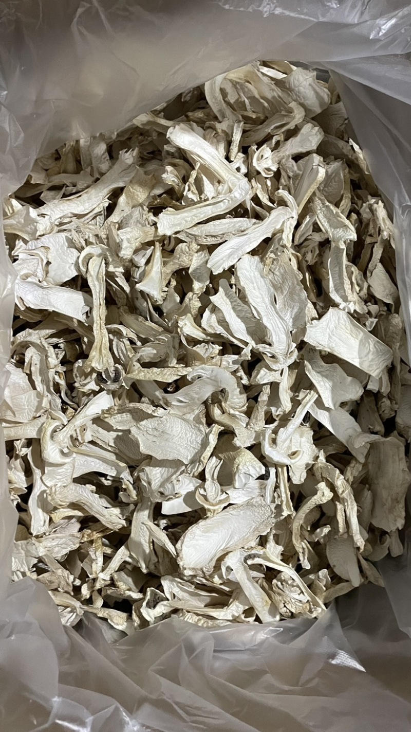 干片赤松茸干货大球盖菇干片干品