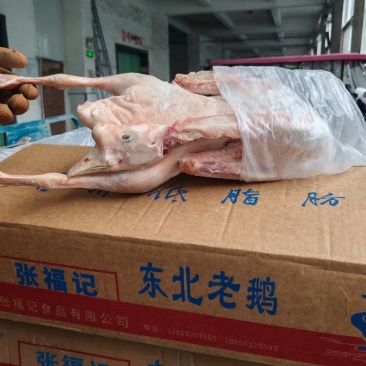 张福记净堂老鹅，白条鹅，带油肺的净堂老鹅