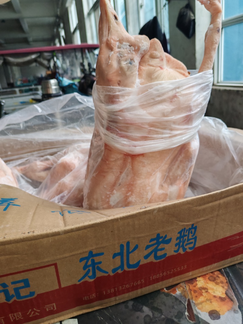 张福记净堂老鹅，白条鹅，带油肺的净堂老鹅