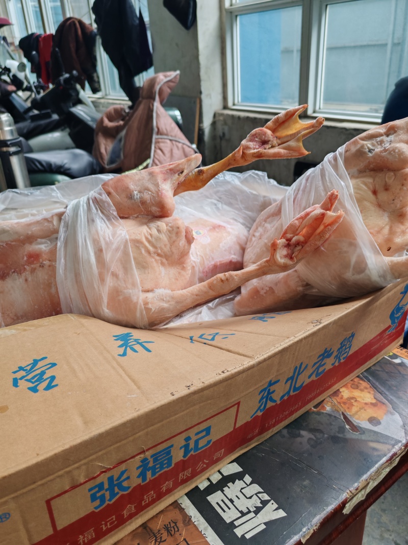 张福记净堂老鹅，白条鹅，带油肺的净堂老鹅
