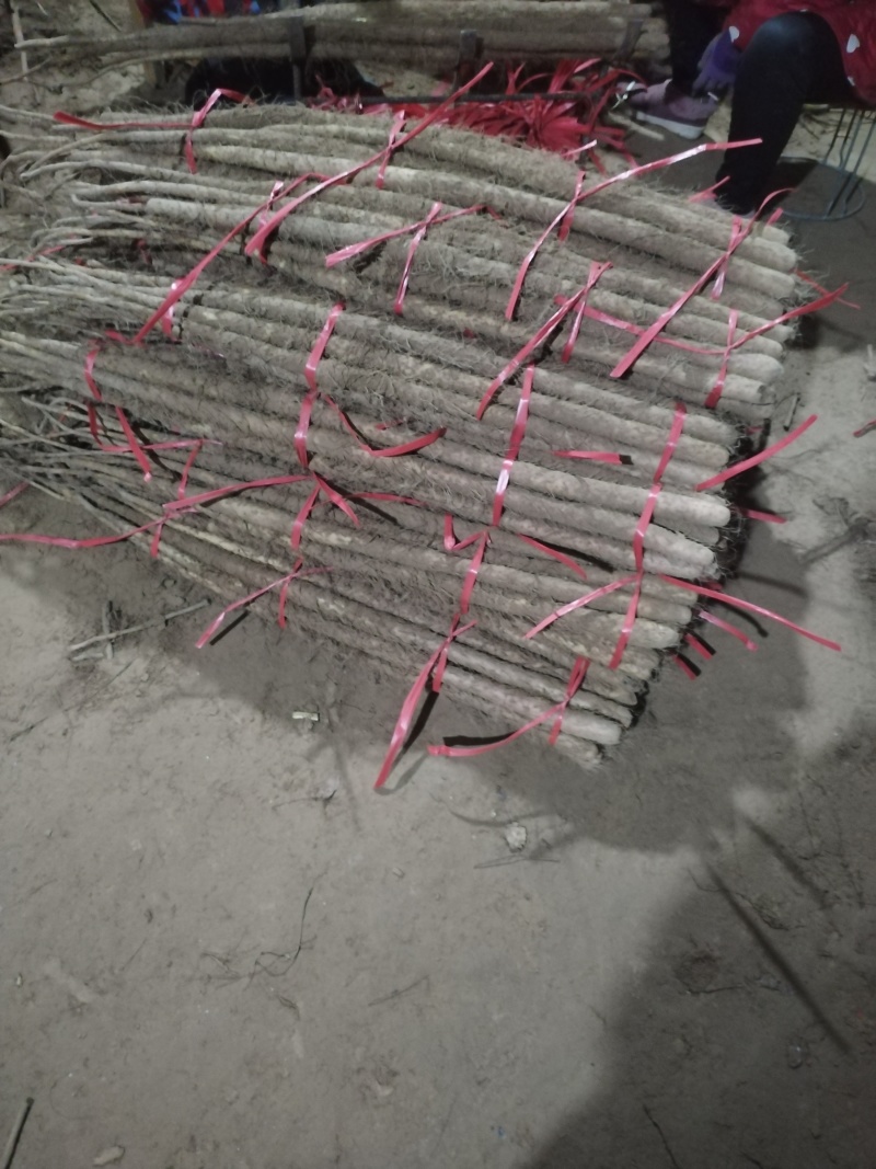 灵宝铁棍山药量特别大物美价廉