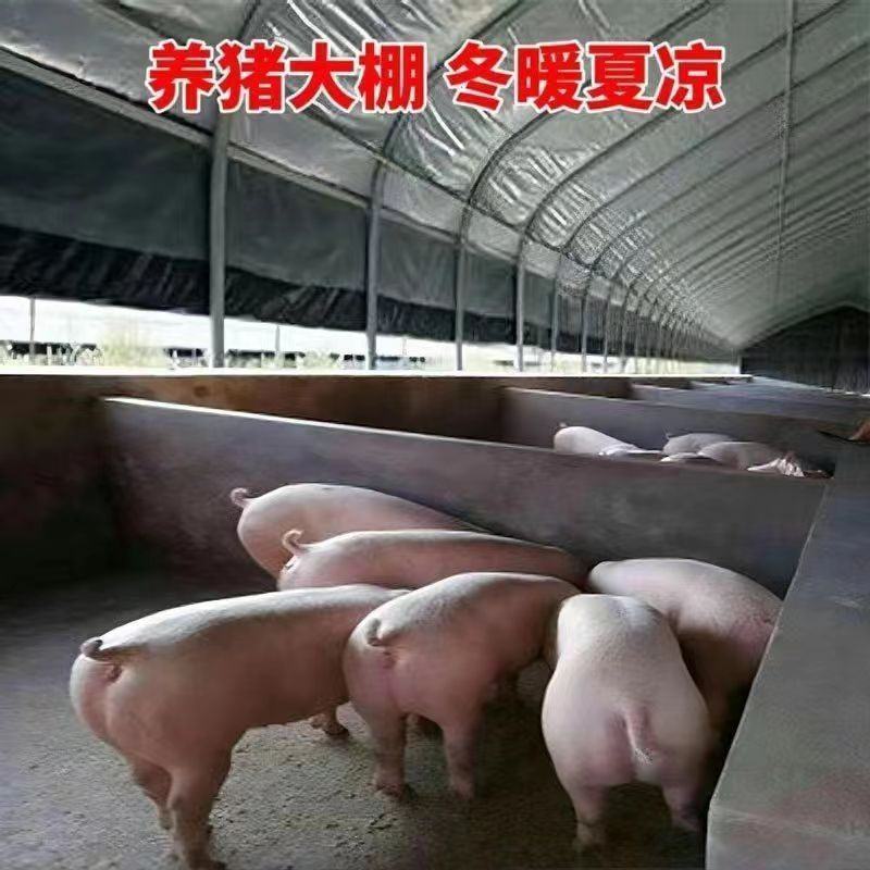 养殖大棚各种规格齐全品类齐全欢迎随时考察欢迎来电洽谈