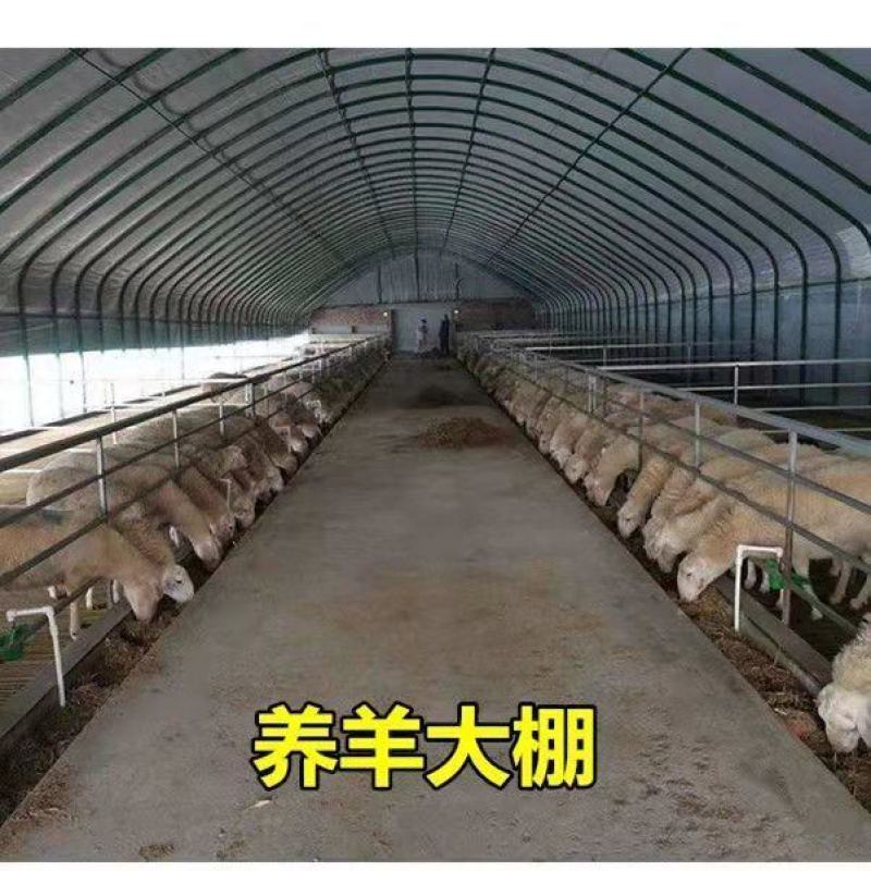 养殖大棚各种规格齐全品类齐全欢迎随时考察欢迎来电洽谈
