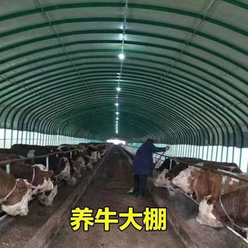 养殖大棚各种规格齐全品类齐全欢迎随时考察欢迎来电洽谈